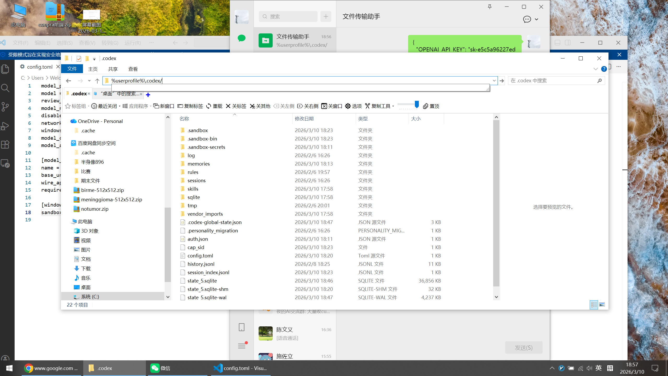 在文件资源管理器中打开 .codex 目录