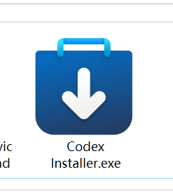 Codex 安装包图标